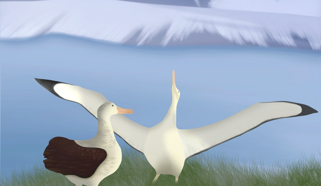 第二章：偉大的探險家